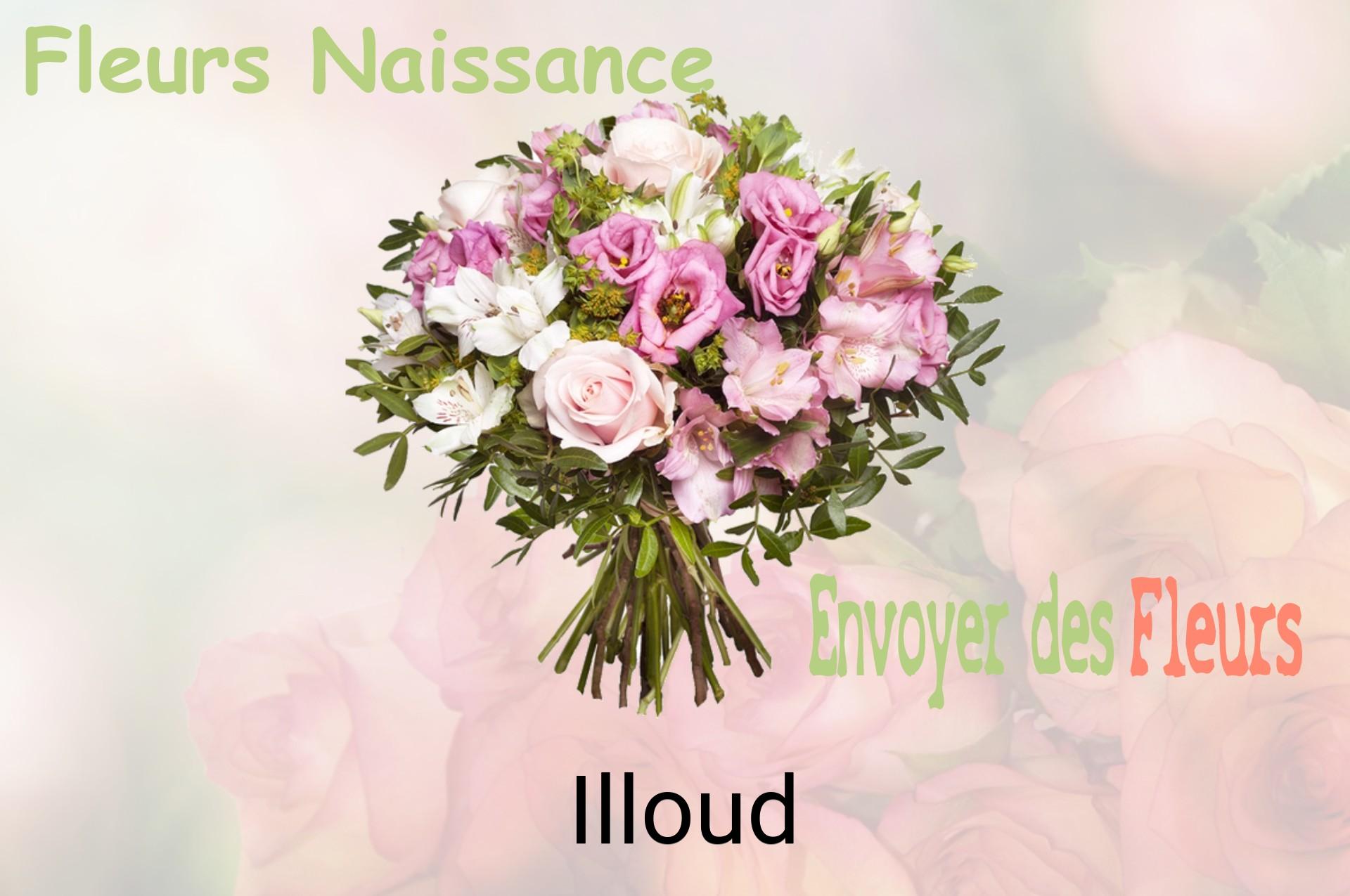Bouquet de fleurs de naissance livré à Illoud