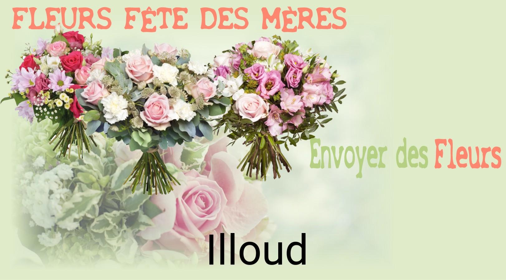 Bouquet de Fête des Mères livré à Illoud